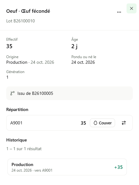 Fiche des lots